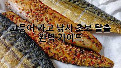 고등어 카고 낚시: 초보 탈출 완벽 가이드